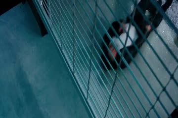 xXx Return of Xander Cage 2017 Hd in Hindi thumb